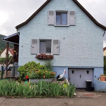 Gite Les Chiwawas D'Alsace Kaysersberg-Vignoble Dış mekan fotoğraf