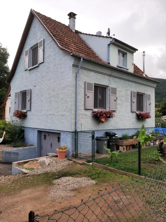 Gite Les Chiwawas D'Alsace Kaysersberg-Vignoble Dış mekan fotoğraf