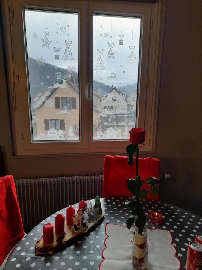 Gite Les Chiwawas D'Alsace Kaysersberg-Vignoble Dış mekan fotoğraf