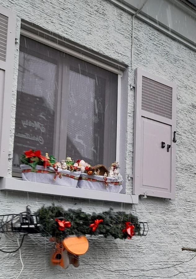 Gite Les Chiwawas D'Alsace Kaysersberg-Vignoble Dış mekan fotoğraf